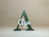 Placa de Identificação 3D - Aya-1