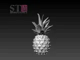 Sunny Pineapples-5