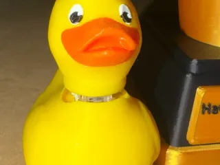 Duck clicker