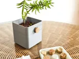 Cork Planter-2
