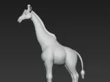 giraffe-2