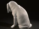Guilty young labrador-4
