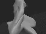 Low Poly Critter-0