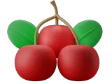 Berries-0