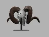 OLD RAM SKULL-1