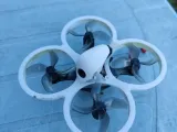 Cetus x -0