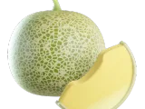 Cantaloupe-0