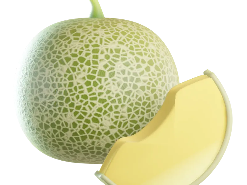 Cantaloupe