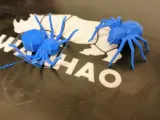 Torture Spider, 3D-printer torture test-1