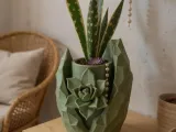 Succulent Bloom Planter with-2