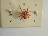 Spider Dimmer Knob switch-2