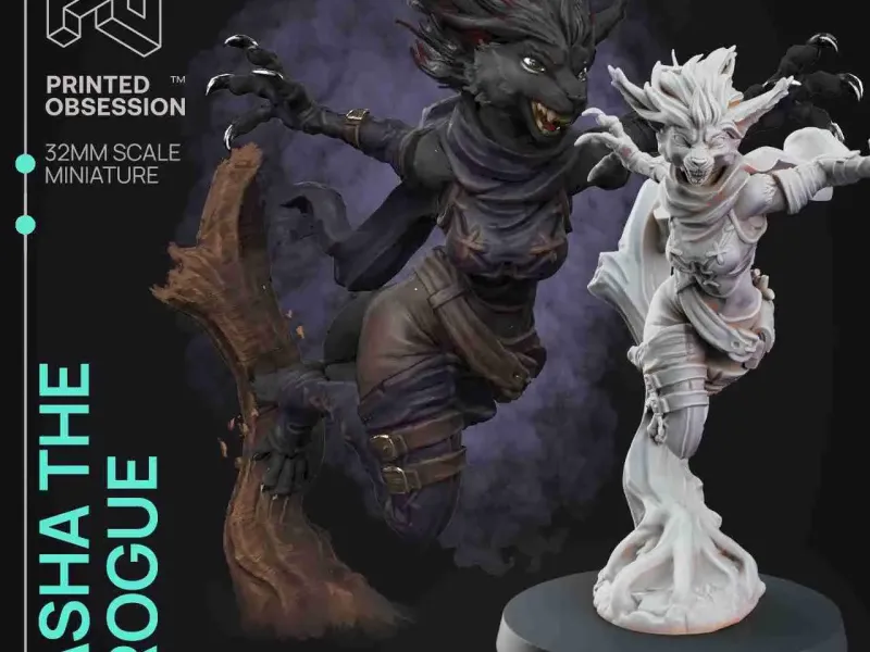 Assassin - Tabaxi Caravan -Presupported - Illustrated and St