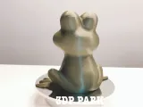 大きな目のカエル Frog (サポート不要、NO support)-1