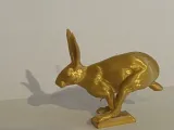 JackRabbit Running-1