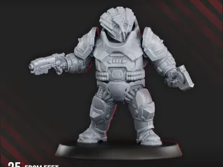 Nibelung Warrior