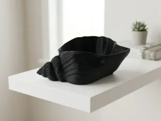 Nautilus Shell Bowl - Catchall Decor