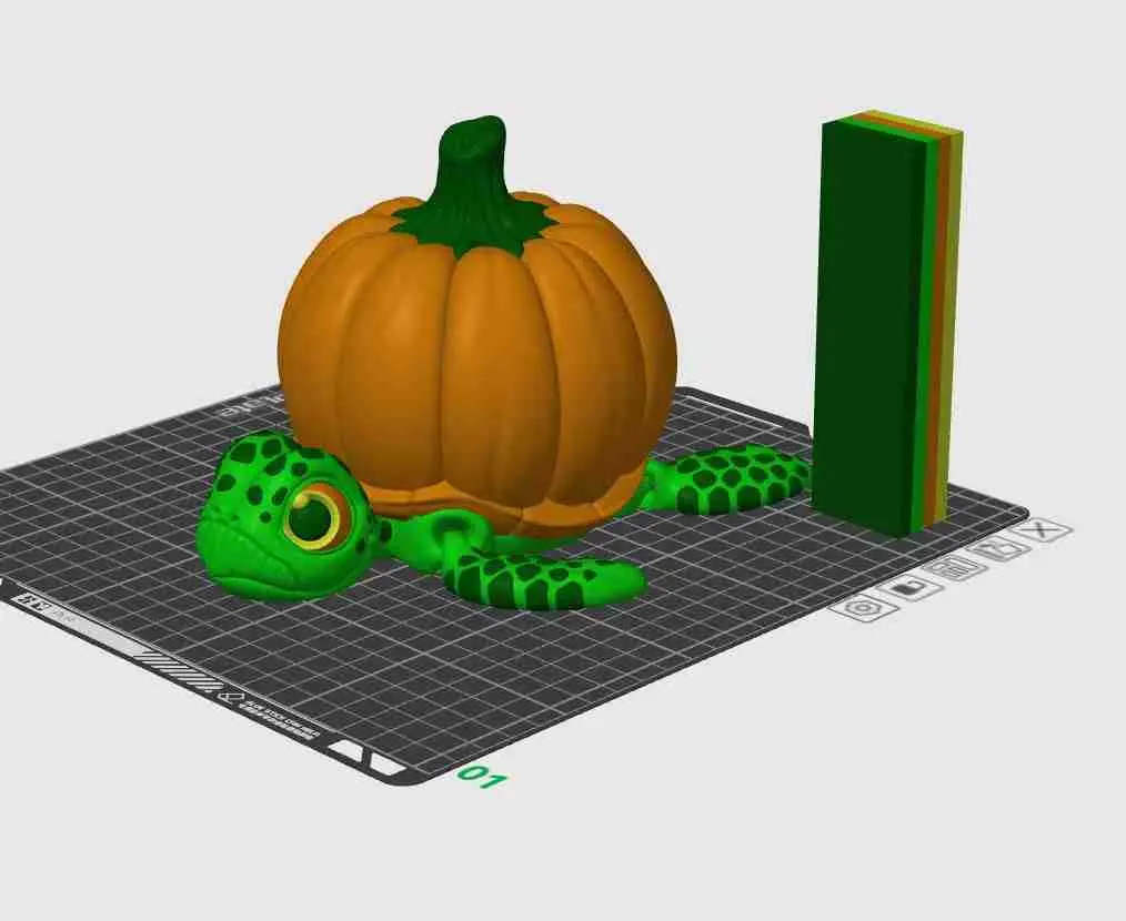 FLEXI PUMPKINTURTLE (PRINT IN PLACE)