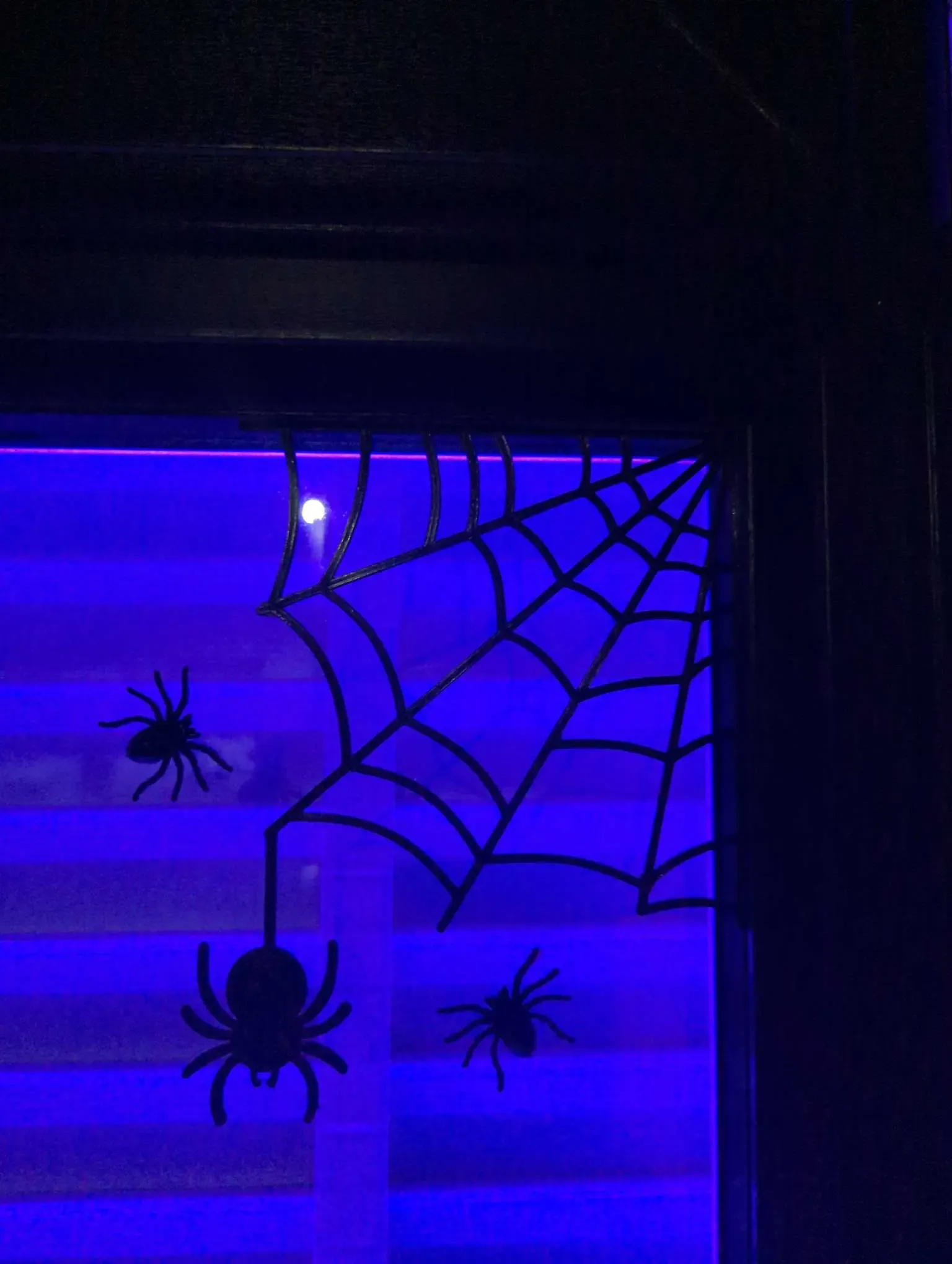 Corner web with spider