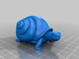snurtle-2