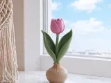 Tulip Bulb Decor | Spring Flower Display-2