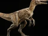Velociraptor-0