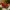 Santa's sleigh - MOKA Design
