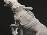 Aggressive dog-3