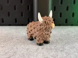 Highland Cow-6