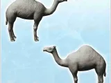 Camel (4) - miniatures animal RPG tabletop scenery figure sc-2