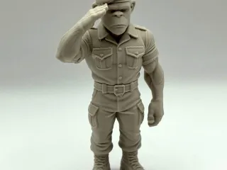 Monkey Soldier