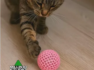 Kitty Cat Toy Ball - Watch them play for hours