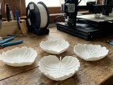 Organic Leaf Plate Set-0