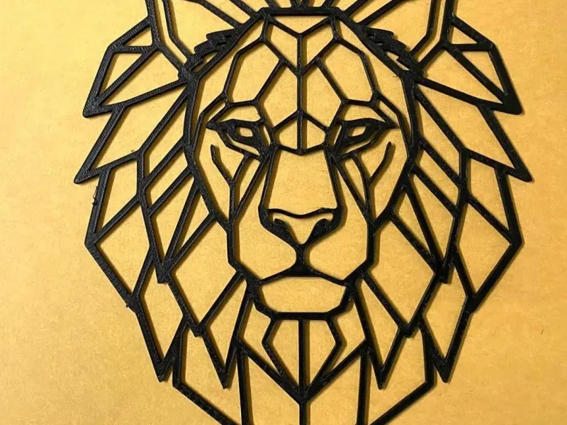 Lion geometry