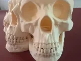 Skull Candy Holder-2