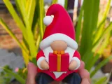 Christmas Special - Gnome (Gift Box)-0
