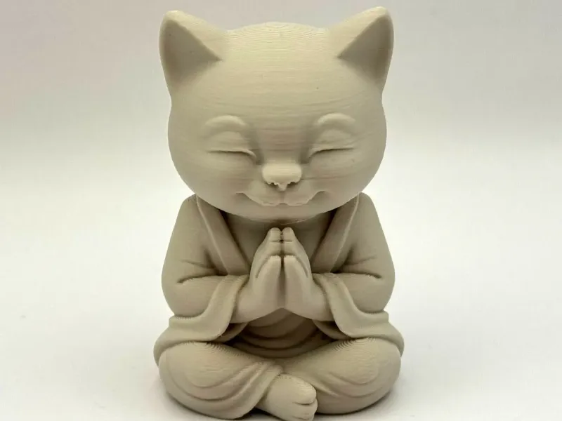 Gatto Zen Monaco Meditante