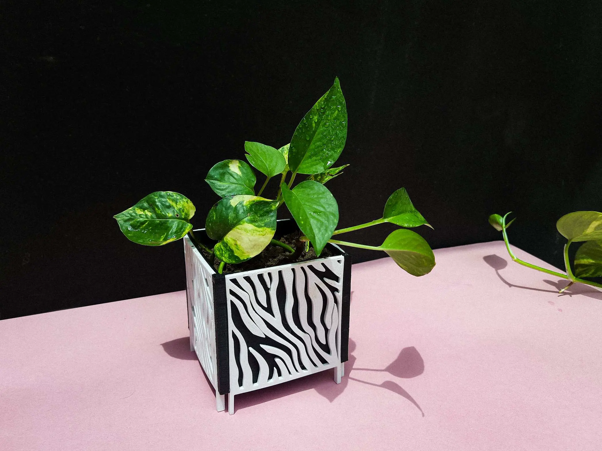 Plantador com padrão | Vaso 