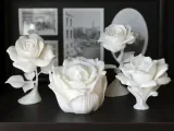 Skull Rose-1