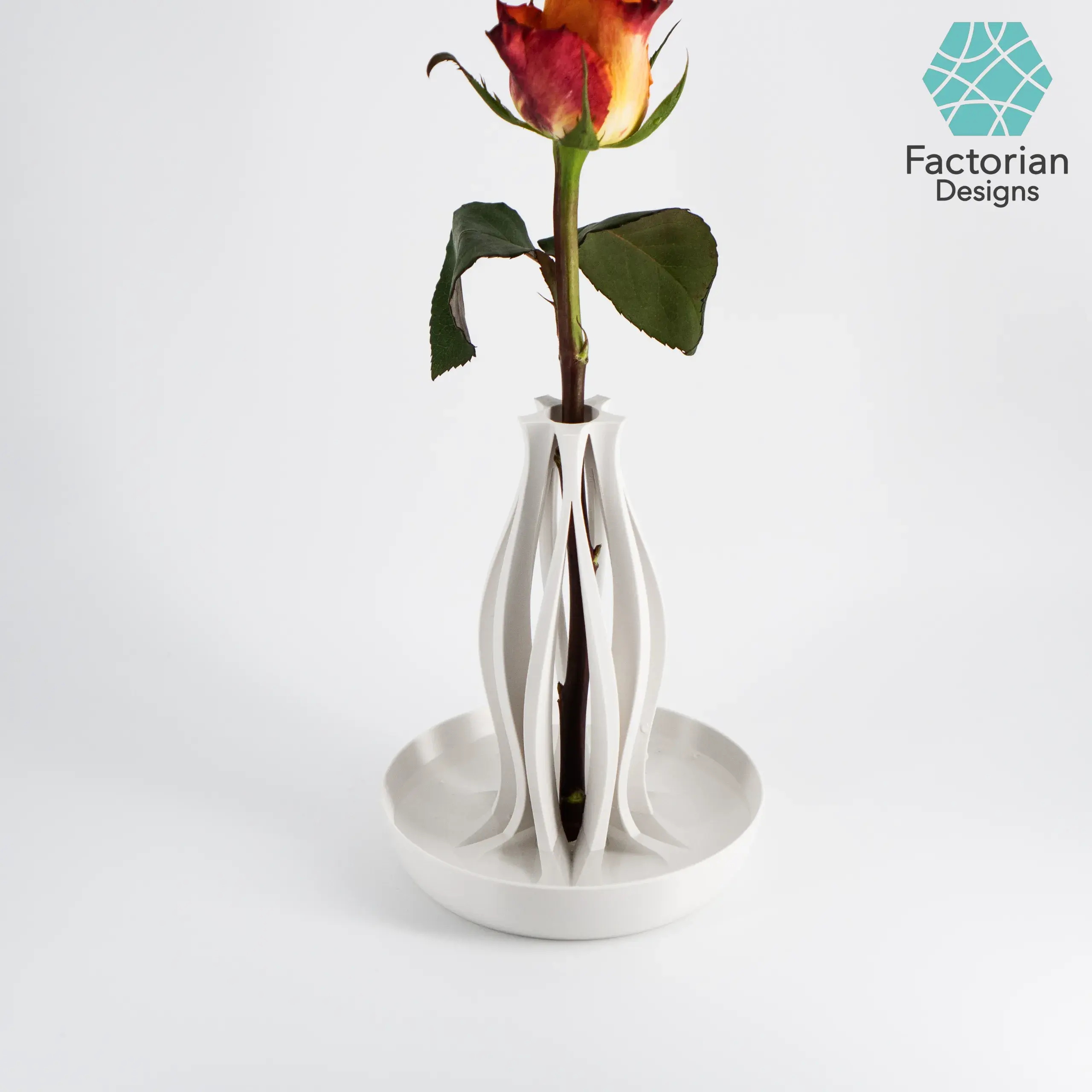 Mordern Vase "Emberflare" | Propagation Vase STL to 3D print