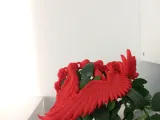 Flexi Cupid Aşk Ejderhası Desteksiz BASKISI KOLAY-3