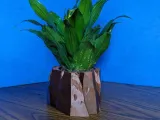 Convertible Mountain Pot-8