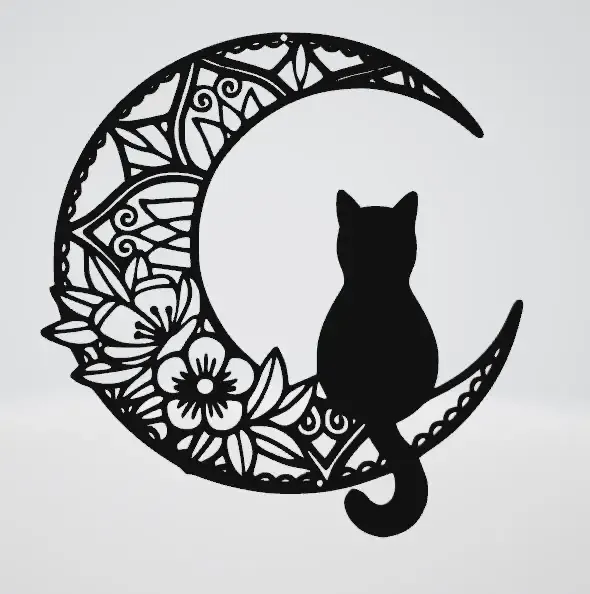 Chat sur la lune