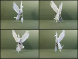 White Phoenix with Orb 3D Model-3