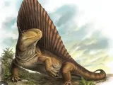 dimetrodon -0