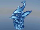 Dolphin seaweed-5