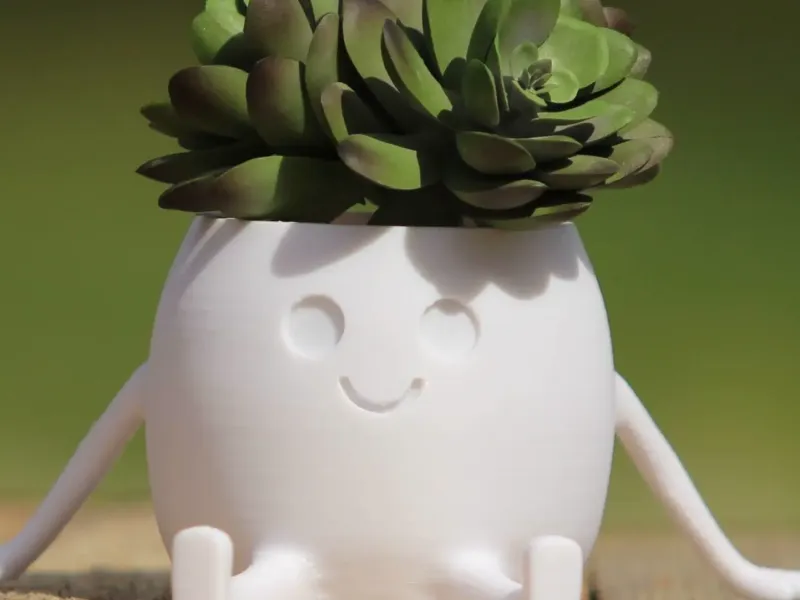 ハッピーポット - 多肉植物用プランター
