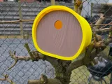 Birdhouse oval-0
