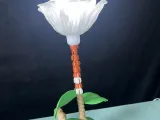 lanterns-0