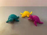 SEA TURTLE-2