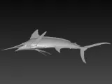 print ready realistic swordfish model-3